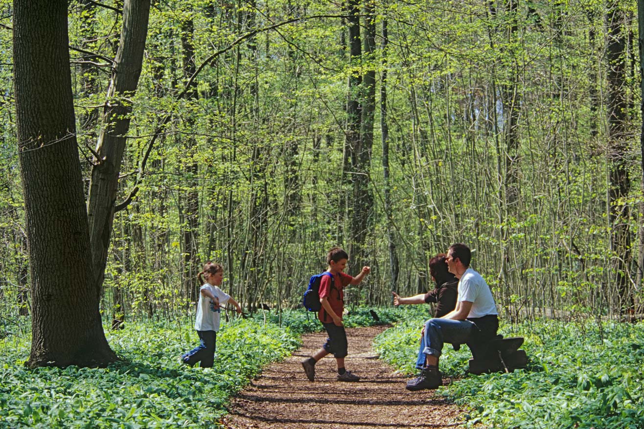 Familie im Wald
